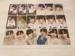 2026年最新】treasure ナイトガーデンの人気アイテム - メルカリ