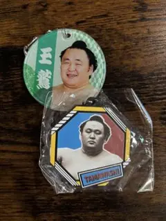 玉鷲 ガチャ やわらかクリアチャーム ラバーキーホルダー