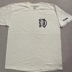 Item thumbnail for item 6c4d9b52-11ce-496b-8ccb-cfe3a15743d1