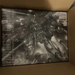 ＭＧ 1/100 プロヴィデンスガンダム [スペシャルコーティング]のサムネイル