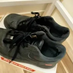 Item thumbnail for item 0428a302-31f3-4ae9-b618-f9ce66eeb5a6