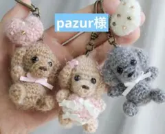 pazur様