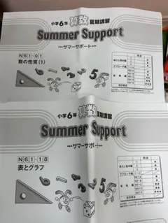 欠番なしSAPIX算数デイリーサポート(通常春夏冬期)ディリーサピックス5