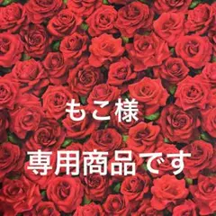 ❣️❣️ご注文商品です❣️❣️