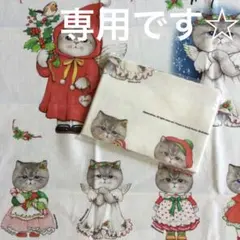 コヤンイサムチョン　　ファブリック　ルミのXmas