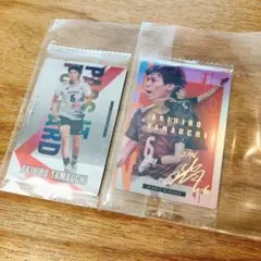 Item thumbnail for item c0424222-aba8-4b99-893f-b71607accafc