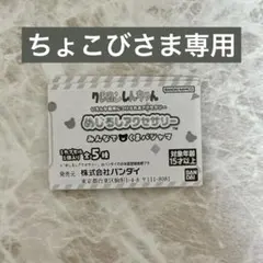 ★ちょこび様専用★