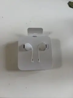 Apple EarPods with Lightning Connector