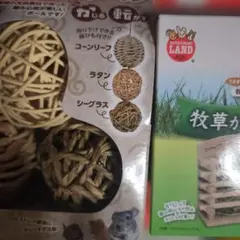 Item thumbnail for item 6fc1c478-0bcd-4a9e-beeb-8aed673b0767