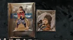 刀ミュ 目出度歌誉花舞 十周年祝賀祭 ランダム　陸奥守吉行