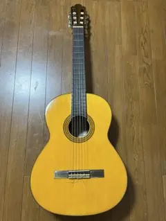 2025年最新】ギター shinano SC-20の人気アイテム - メルカリ