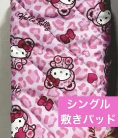 Item thumbnail for item 2104f3b5-9ccc-4194-9778-fb16c95e652c