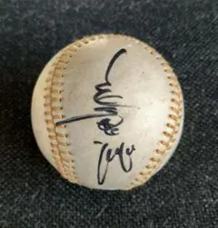 2025年最新】長嶋茂雄 サインボールの人気アイテム - メルカリ