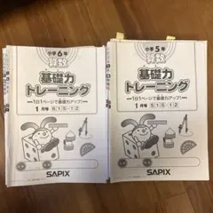 2026年最新】基礎 トレ sapixの人気アイテム - メルカリ
