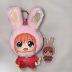 L*.様 銀魂 神楽 ぬいぐるみ EAKI 中国限定 - メルカリ