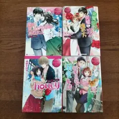 TL 小説　エタニティ文庫　4冊セット