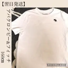 大幅お値下げ【翌日発送】アバクロンビーキッズ　Tシャツ　11/12