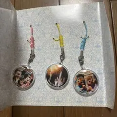 Item thumbnail for item 069978ce-0aaf-4169-a18d-9ca5b68648c5