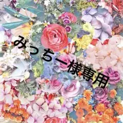 みっちー様専用