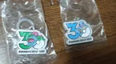 ポケモン 30周年記念 メタルチャームマスコット 2点まとめ売り
