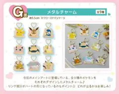 一番くじ　ポケットモンスター メタルチャーム  ピカチュウ カビゴン　ワンパチ