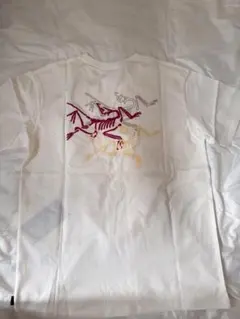 ARC'TERYX アークテリクス 半袖 Tシャツ