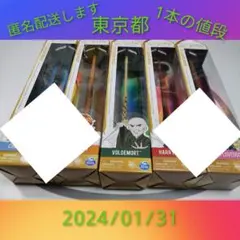 魔法の杖 マジックワンド ハリーポッター 公式 ヴォルデモート卿　正規品