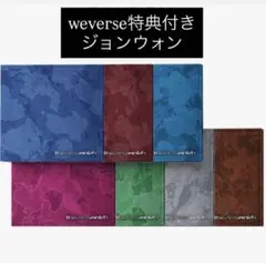 enhypen THE SIN:VANISH ジョンウォン weverse特典
