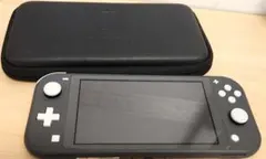 Nintendo Switch Lite 本体のみ グレー 動作確認済 - メルカリ