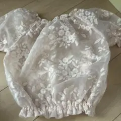 RYDUO 花柄刺繍 シアーブラウス 半袖のサムネイル