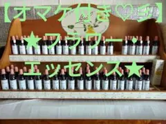 【匿名配送】1本■ヒーリングハーブス社フラワーエッセンス■レスキューレメディーのサムネイル