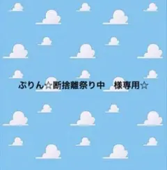 ぷりん☆断捨離祭り中様専用