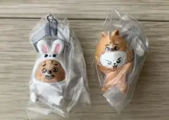 SKZOO つまんでつなげてますこっとvol.2 リービットハンクォッカセット