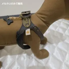 Item thumbnail for item c4f7c921-2c98-4967-96f2-ee64a96cc4de