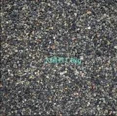 大磯砂　アクアリウムのサムネイル