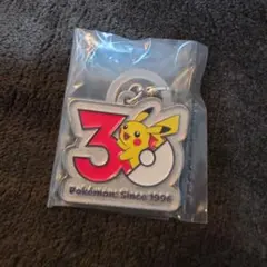 ポケモン 30周年 メタルチャームマスコットピカチュウ