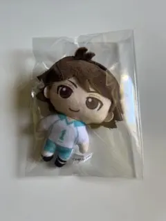ハイキュー　ぬいぐるみマスコット　ぬいぐるみ　マスコット　及川徹