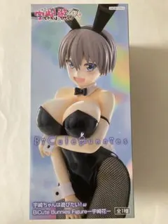 BiCute Bunnies Figure 宇崎花のサムネイル