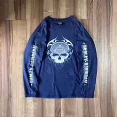 【希少】00s vintage Harley-DavidsonスカルフレイムT