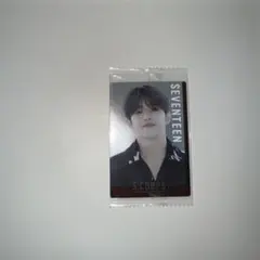 セブチ　エスクプス　ウエハース　カード