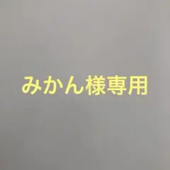 みかん様専用:ご要望の映画チラシ
