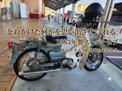 未使用 絶版 EBBRO ホンダ スーパーカブ C100 初期型 1958 年 - メルカリ