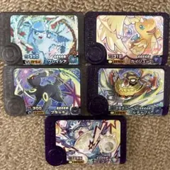 フレンダ　グレイシア、カイリュー、ブラッキー、ルチャブル、カビゴン