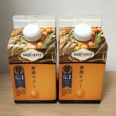 【新品未開栓】豊潤サジー　300ml　2本セット　紙パック　フィネス