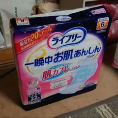 Item thumbnail for item de2a84a2-664e-43e1-8daf-c693ec754c24