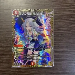 デュエマ 偽りの希望 鬼丸「終斗」　キャラプレミアムトレジャー　ピリオド 2枚 SR 偽りの希望 鬼丸「終斗」(キャラプレミアムトレジャー) 販売