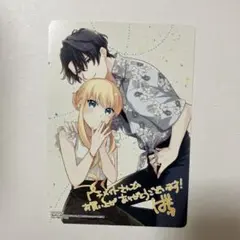 異世界から聖女が来るようなので、邪魔者は消えようと思います 13 アニメイト