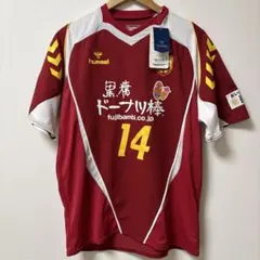 INAC神戸.田中陽子サッカーユニフォーム 背番号20 未使用1着Lサイズ INAC神戸.田中陽子サッカーユニフォーム 背番号20 未使用1着Lサイズ