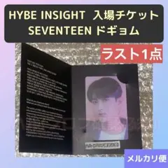 HYBE INSIGHT 入場フォトチケットSEVENTEEN  ドギョム　DK