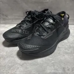 2025年最新】nike ペガサストレイル3 gore-texの人気アイテム - メルカリ